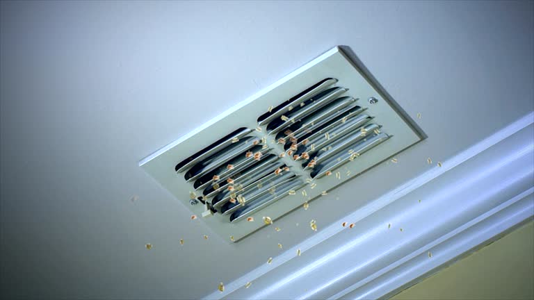 Best Commercial Air Duct Cleaning  in Hatch, NM