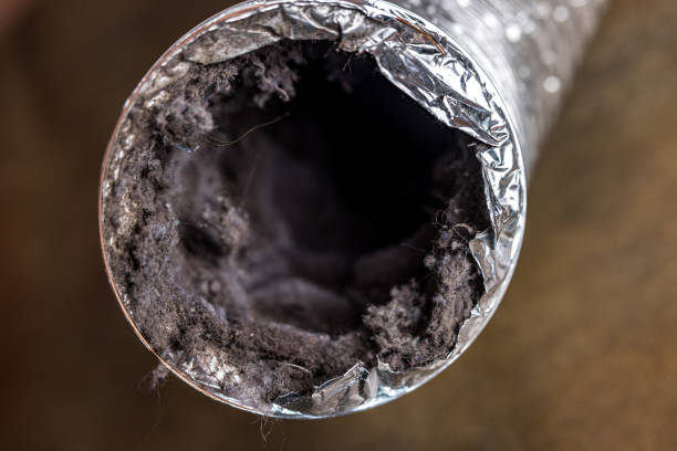 Best HVAC Air Duct Cleaning  in Hatch, NM
